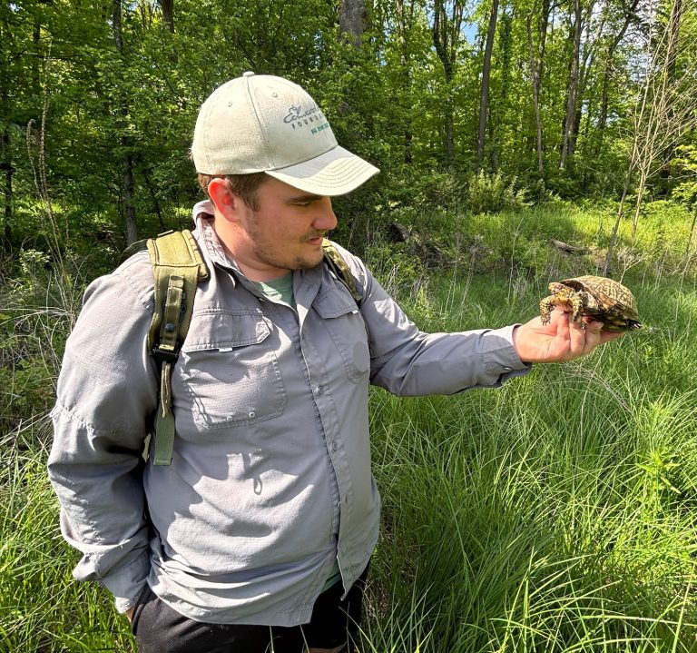 Dawson with turtle